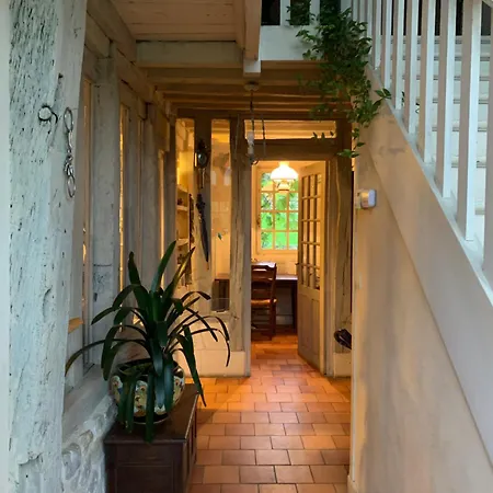 Les Hortensias Manerbe