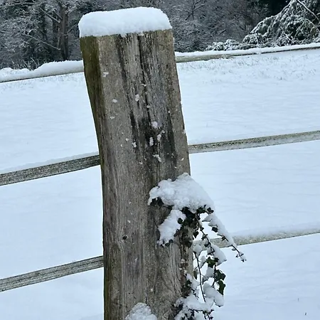 Holiday home Les Hortensias Manerbe