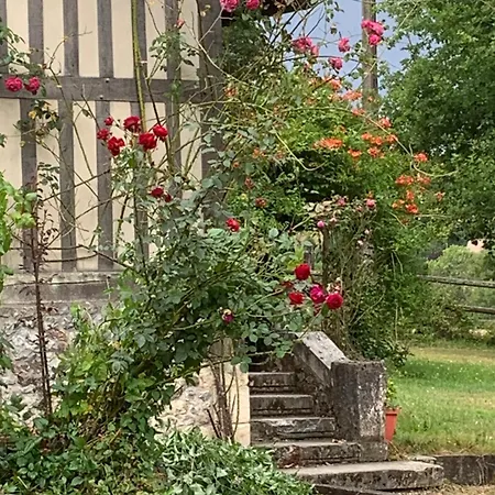 Les Hortensias Manerbe