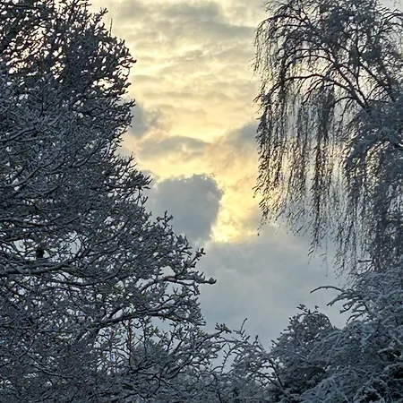 Holiday home Les Hortensias *