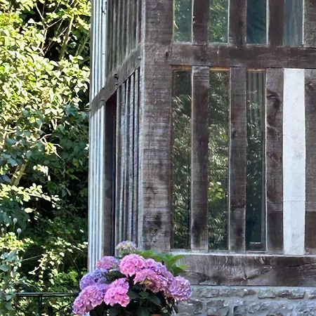 Holiday home Les Hortensias Manerbe