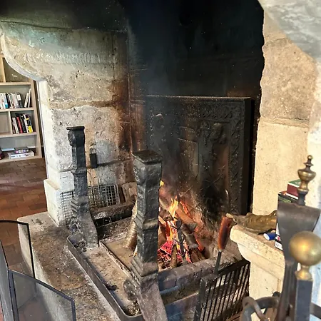 Les Hortensias * Manerbe