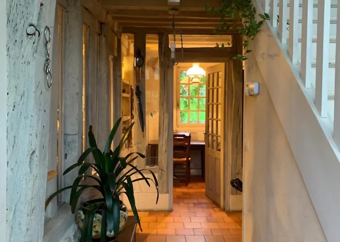 Les Hortensias Manerbe