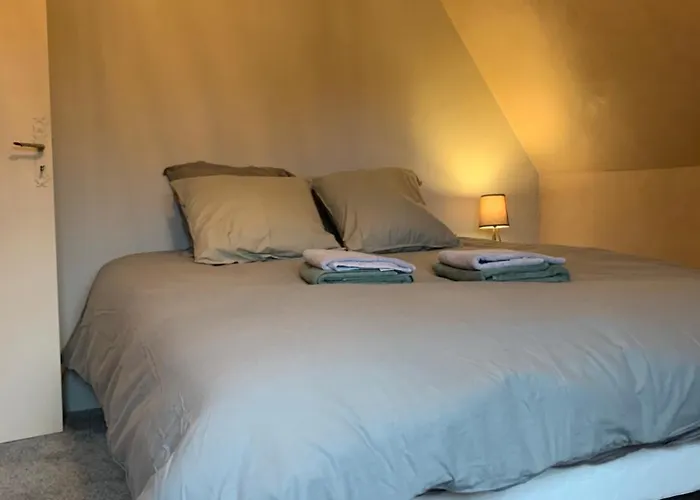 Vakantiehuis Les Hortensias *