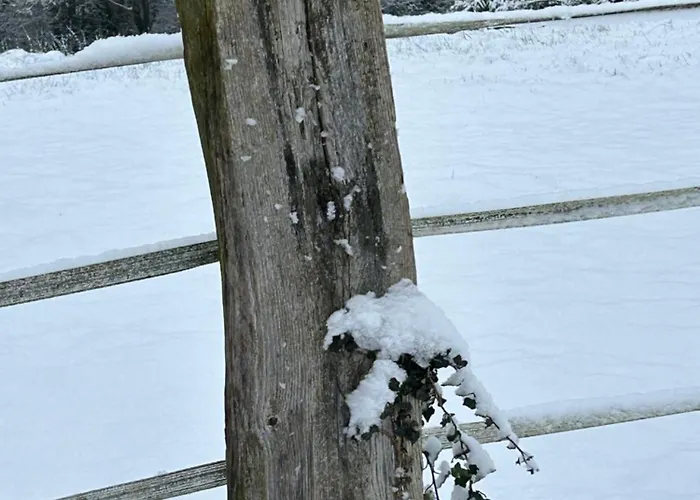 Σπίτι διακοπών Les Hortensias Manerbe