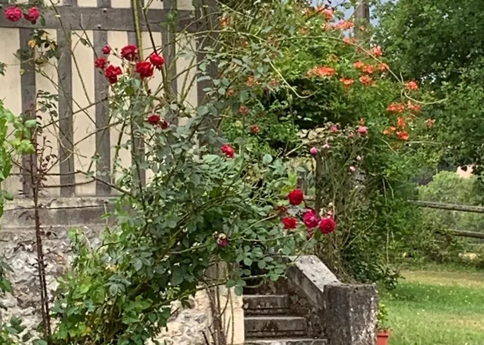 Les Hortensias Manerbe