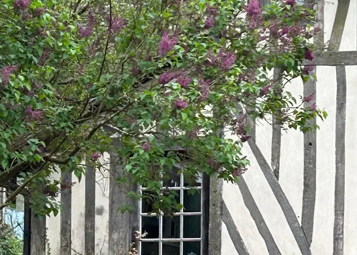 Vakantiehuis Les Hortensias