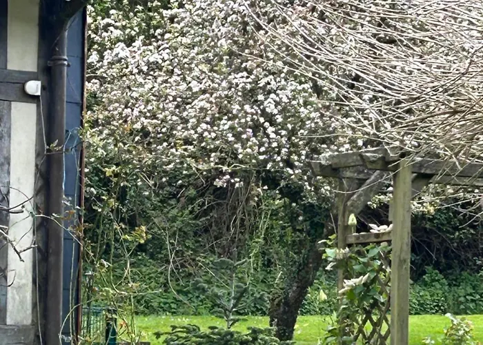 Σπίτι διακοπών Les Hortensias *