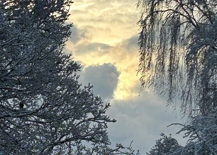 Σπίτι διακοπών Les Hortensias *