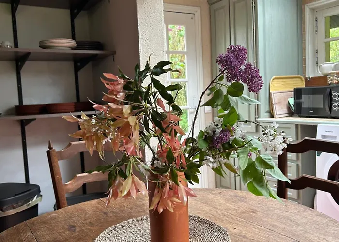 Vakantiehuis Les Hortensias *