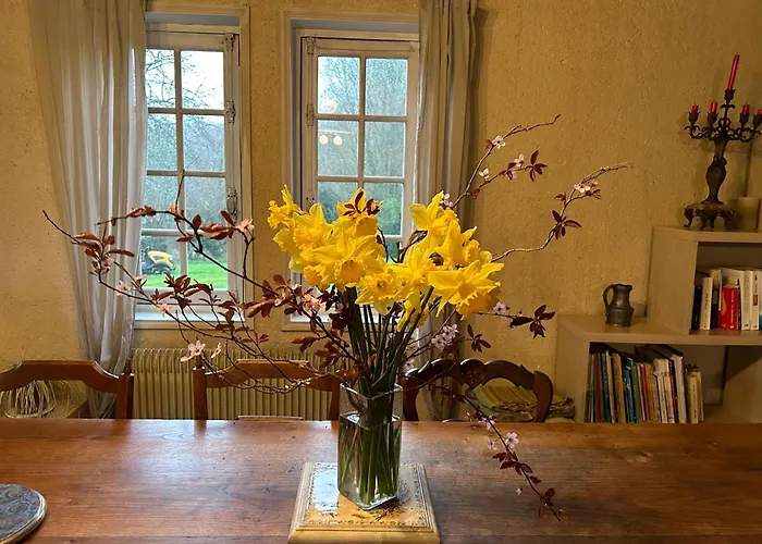 Vakantiehuis Les Hortensias Manerbe