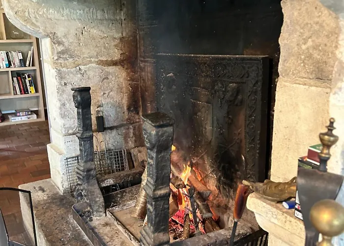 Les Hortensias * Manerbe